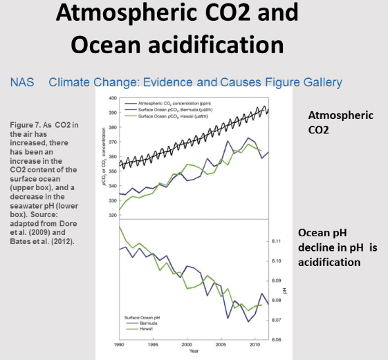 The effects of climate and acidification