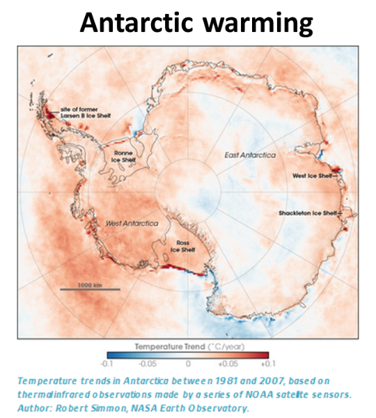 antarctic ocean,antarctica warm ocean water is the primary driver for antarctic ice shelf